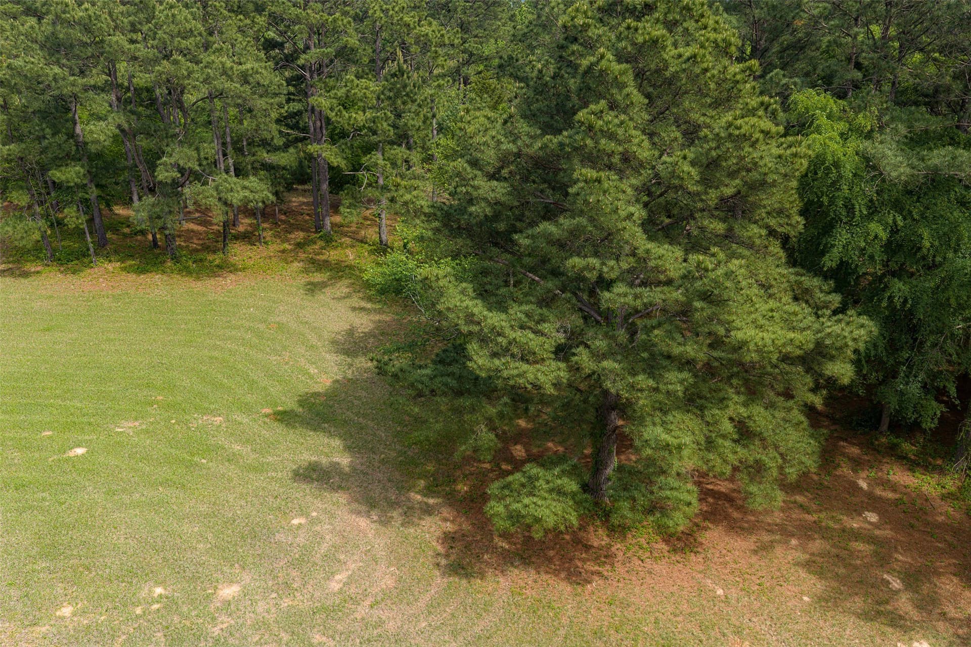 34.06 acres in Anderson County - photo 32