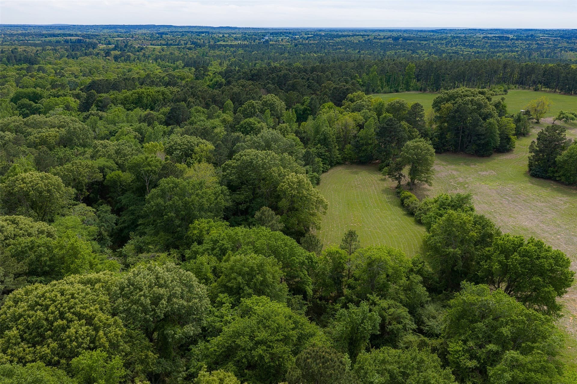 34.06 acres in Anderson County - photo 7