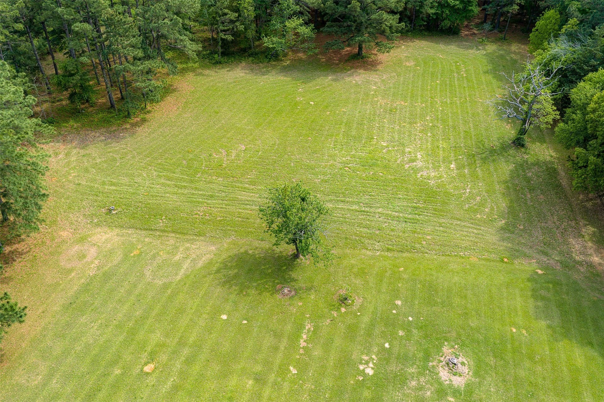 34.06 acres in Anderson County - photo 31