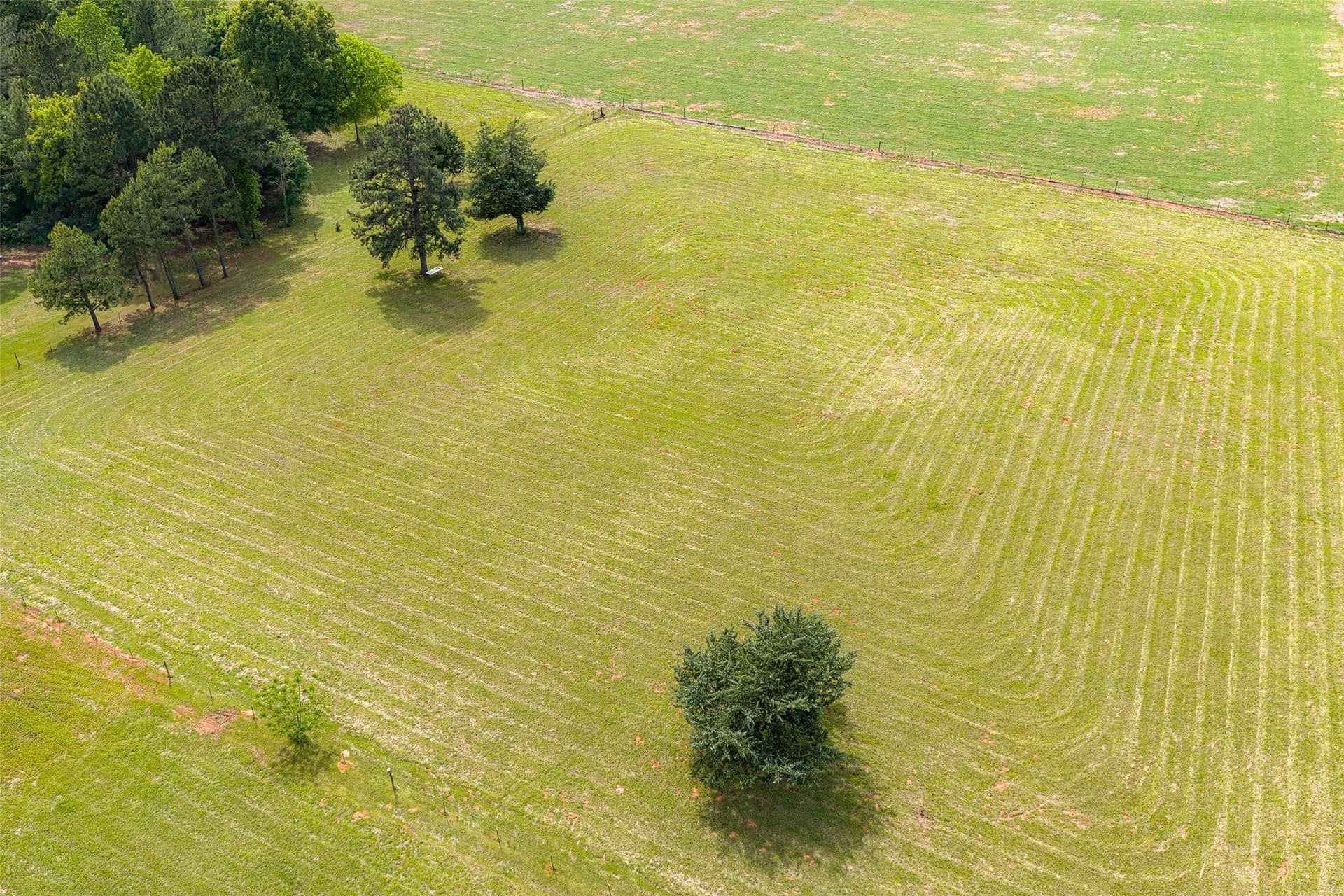 34.06 acres in Anderson County - photo 33