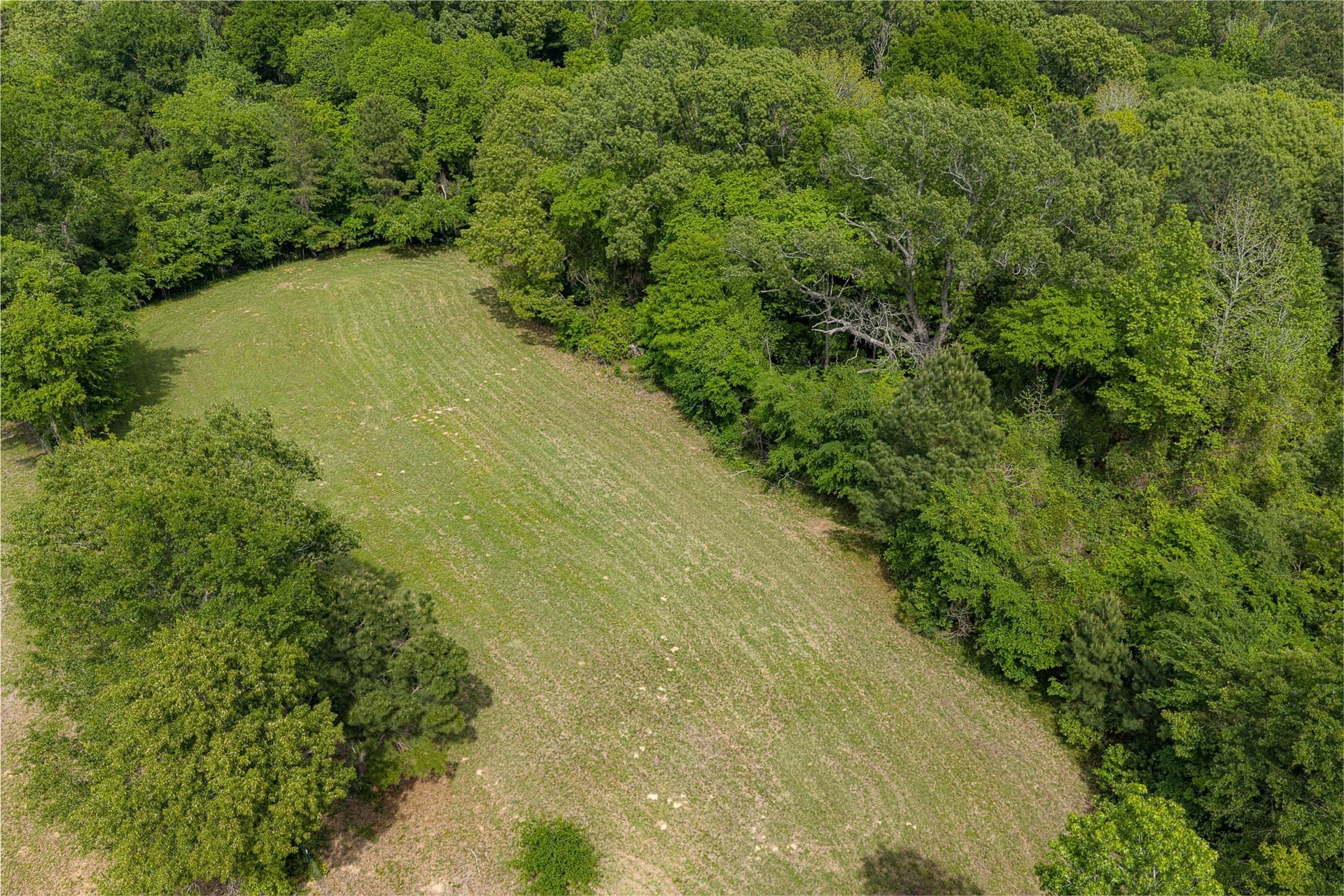 34.06 acres in Anderson County - photo 29