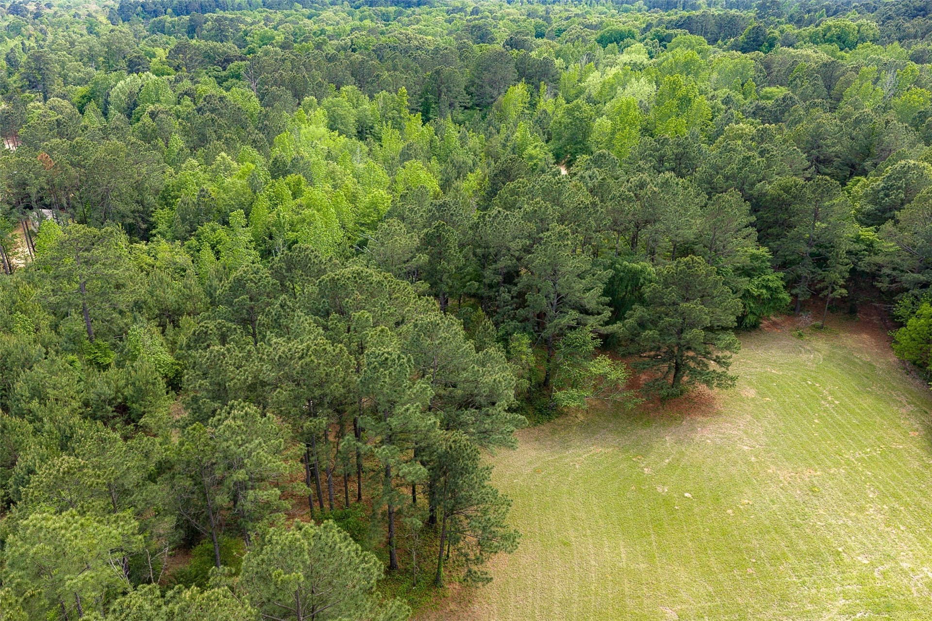 34.06 acres in Anderson County - photo 36