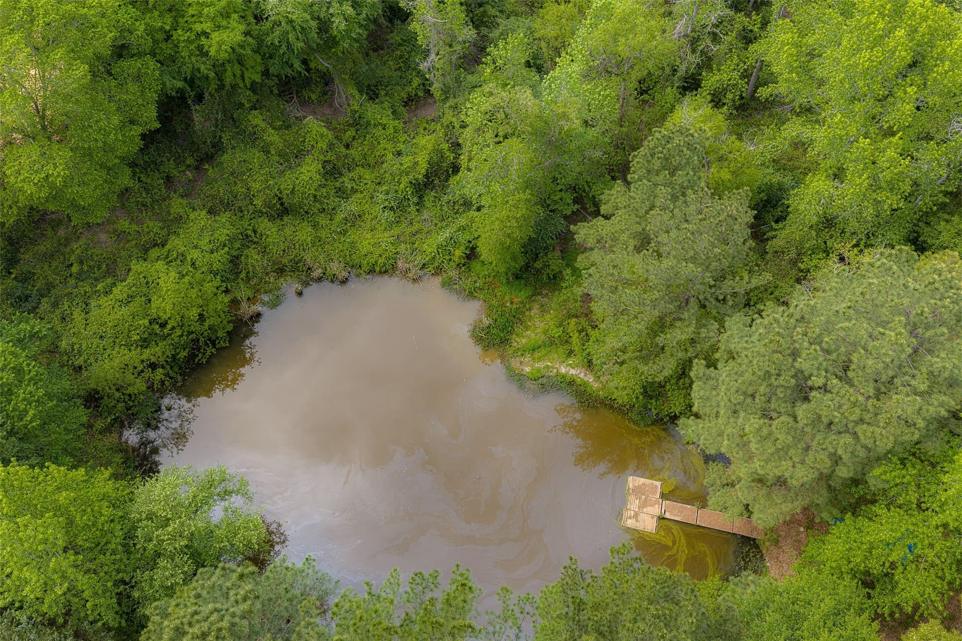 34.06 acres in Anderson County - photo 4