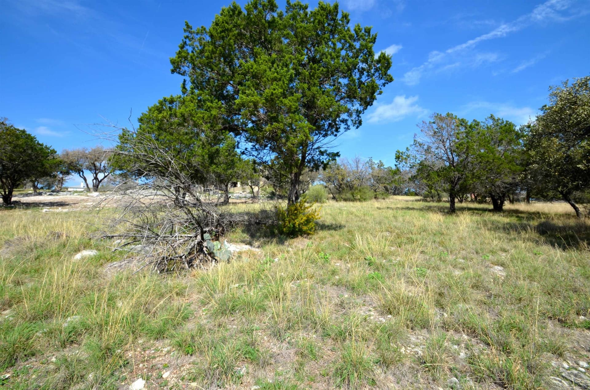 0.23 acres in Llano County - photo 7
