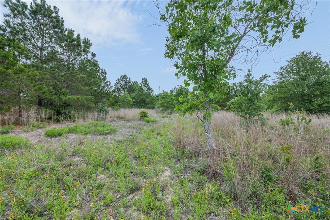 1.5 acres in Bastrop County - photo 9