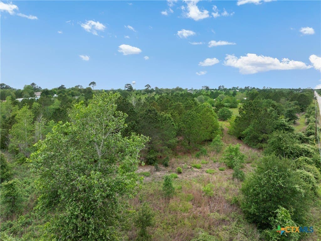 1.5 acres in Bastrop County - photo 12