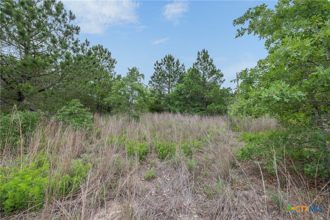 1.5 acres in Bastrop County gallery image 2