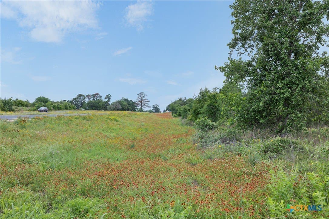 1.5 acres in Bastrop County featured view