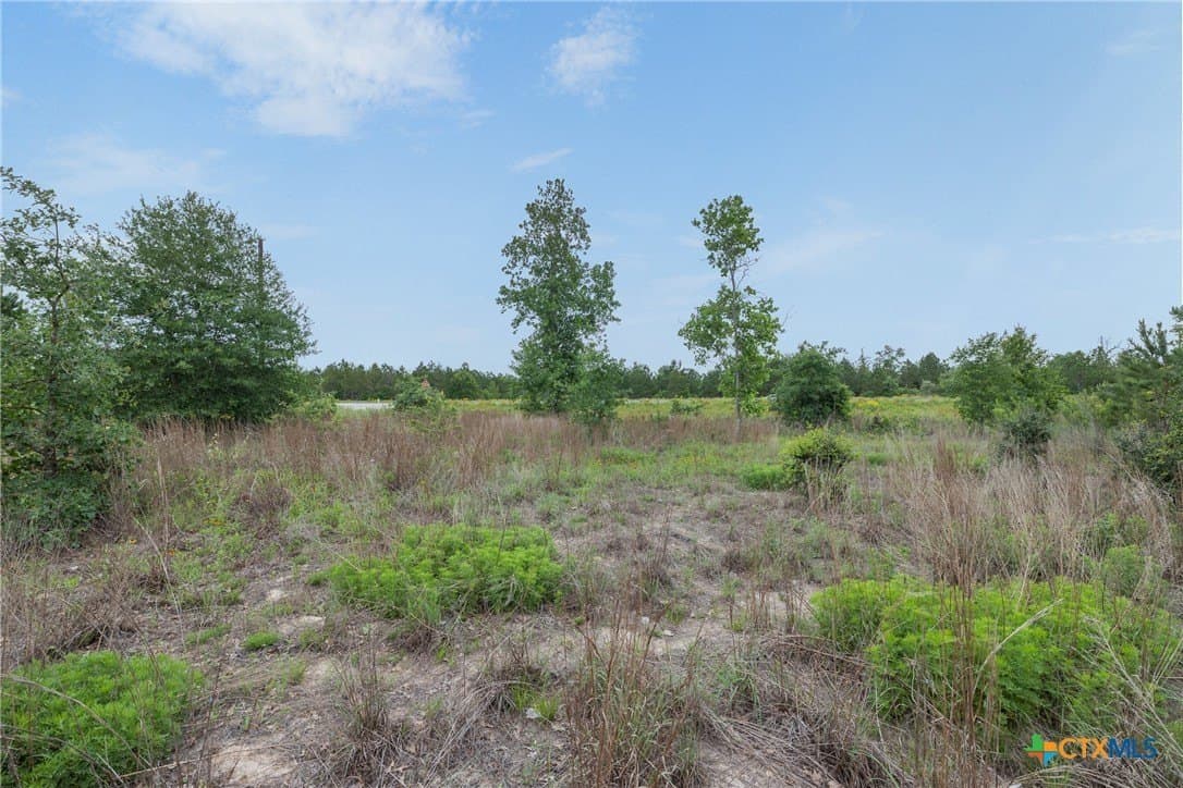 1.5 acres in Bastrop County gallery image 4