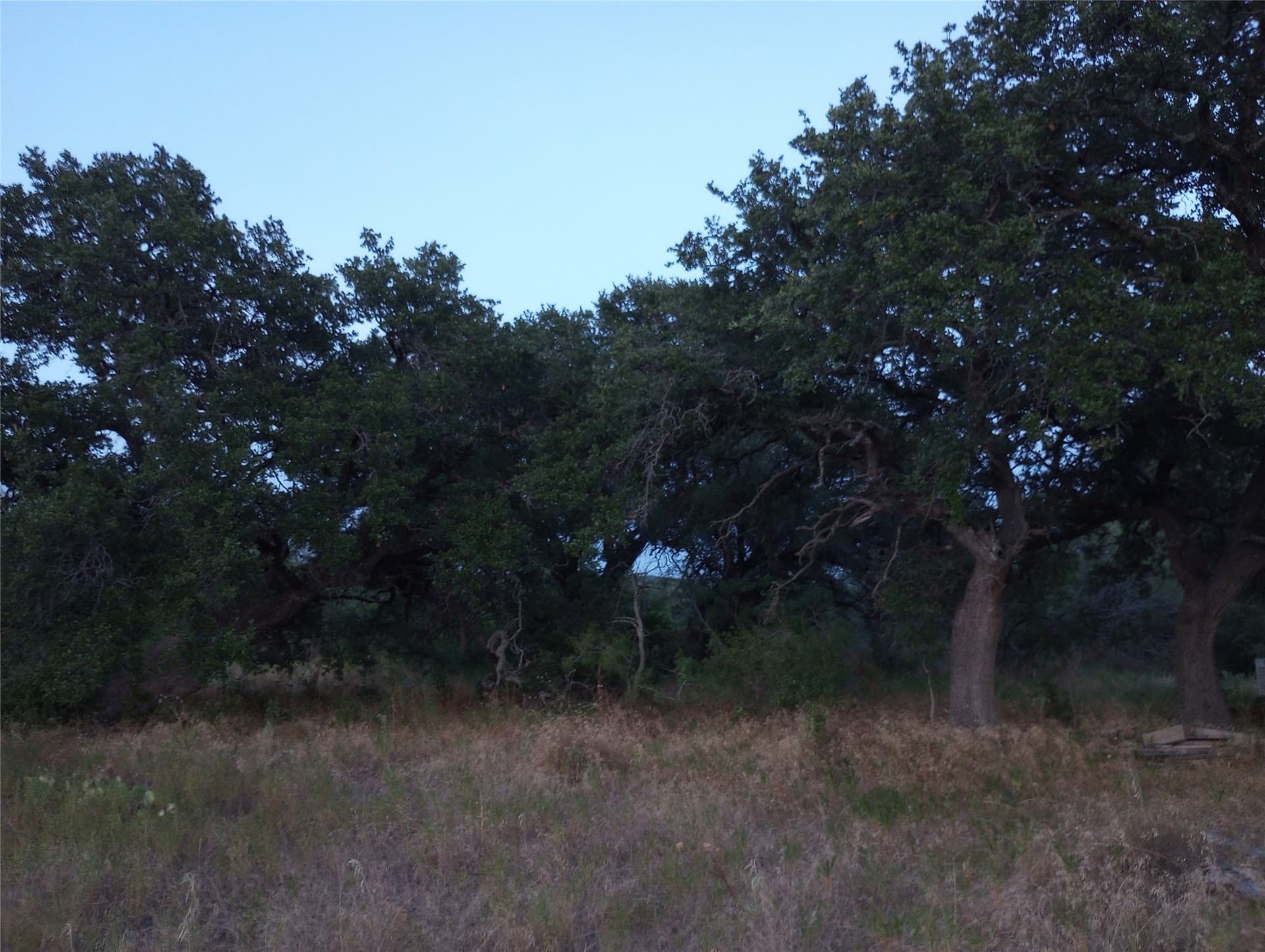 66.85 acres in Bosque County - photo 11