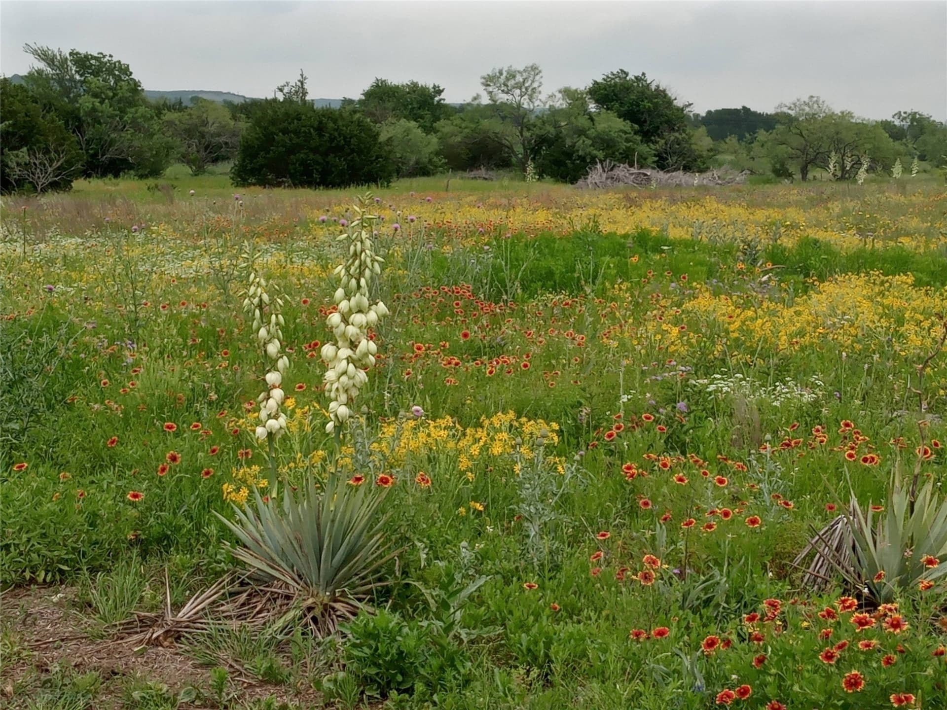 66.85 acres in Bosque County - photo 4
