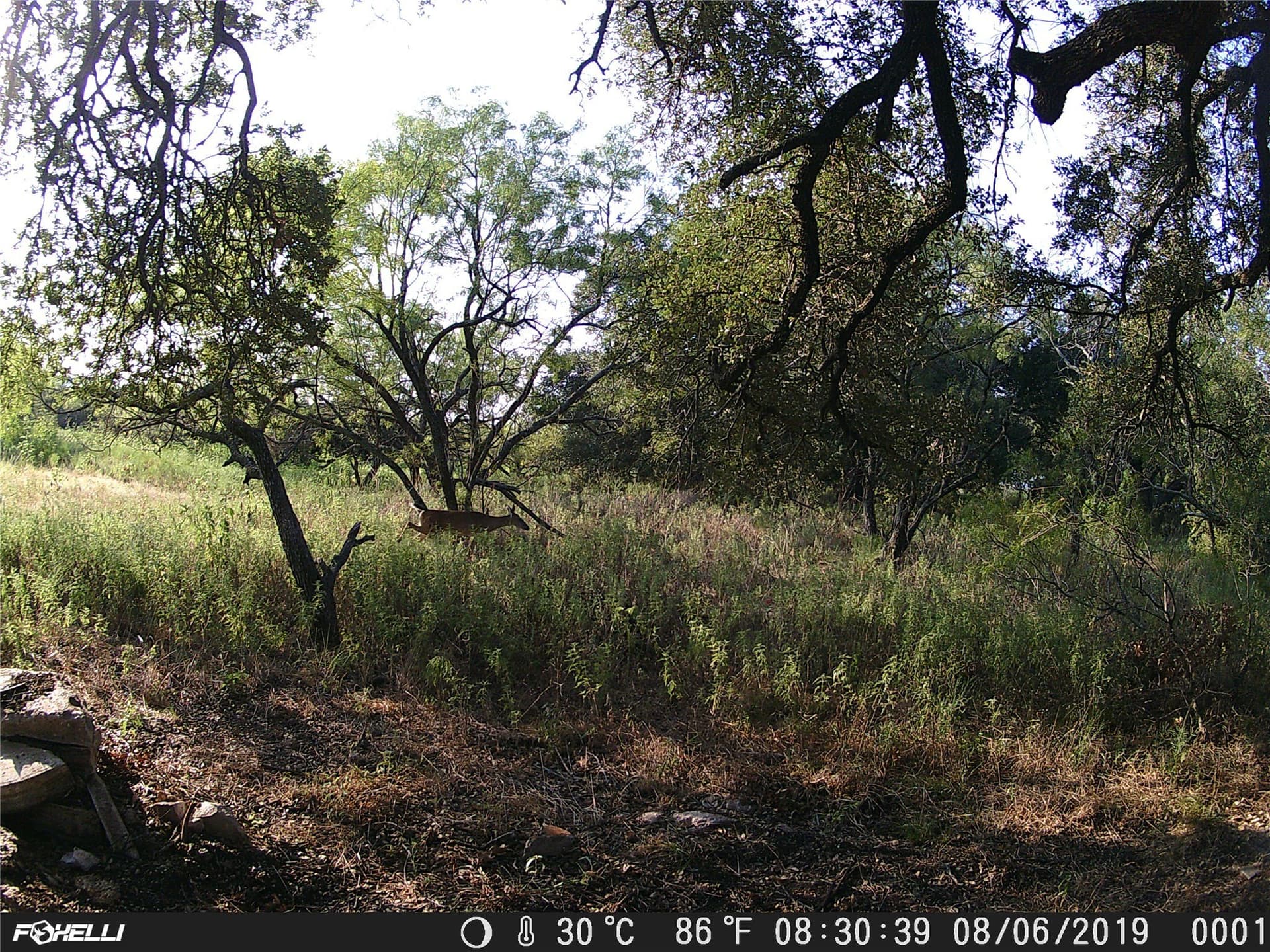 66.85 acres in Bosque County - photo 7