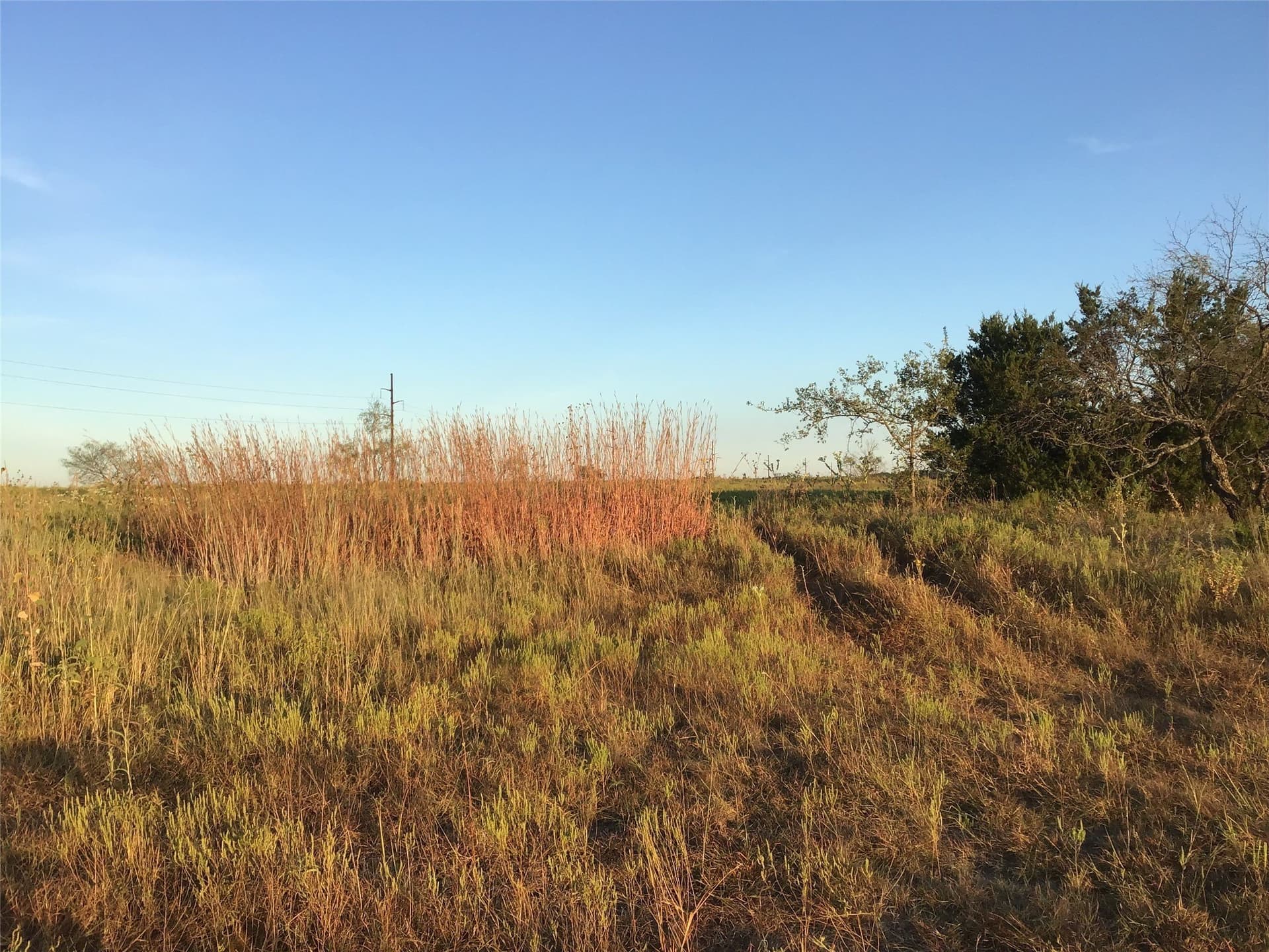 66.85 acres in Bosque County - photo 3