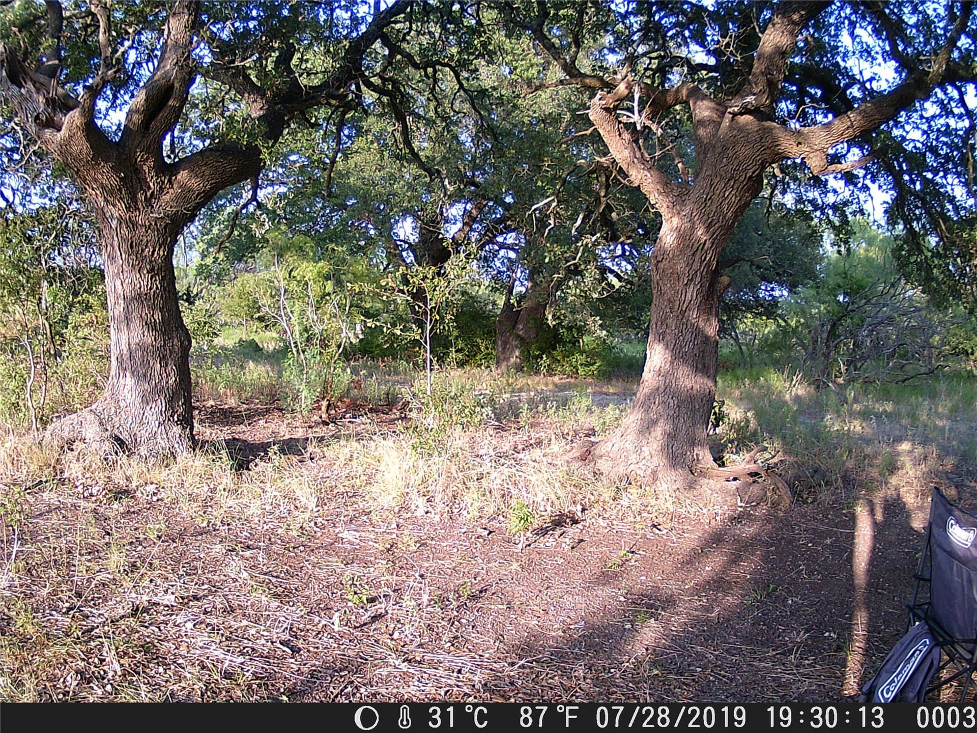 66.85 acres in Bosque County - photo 8