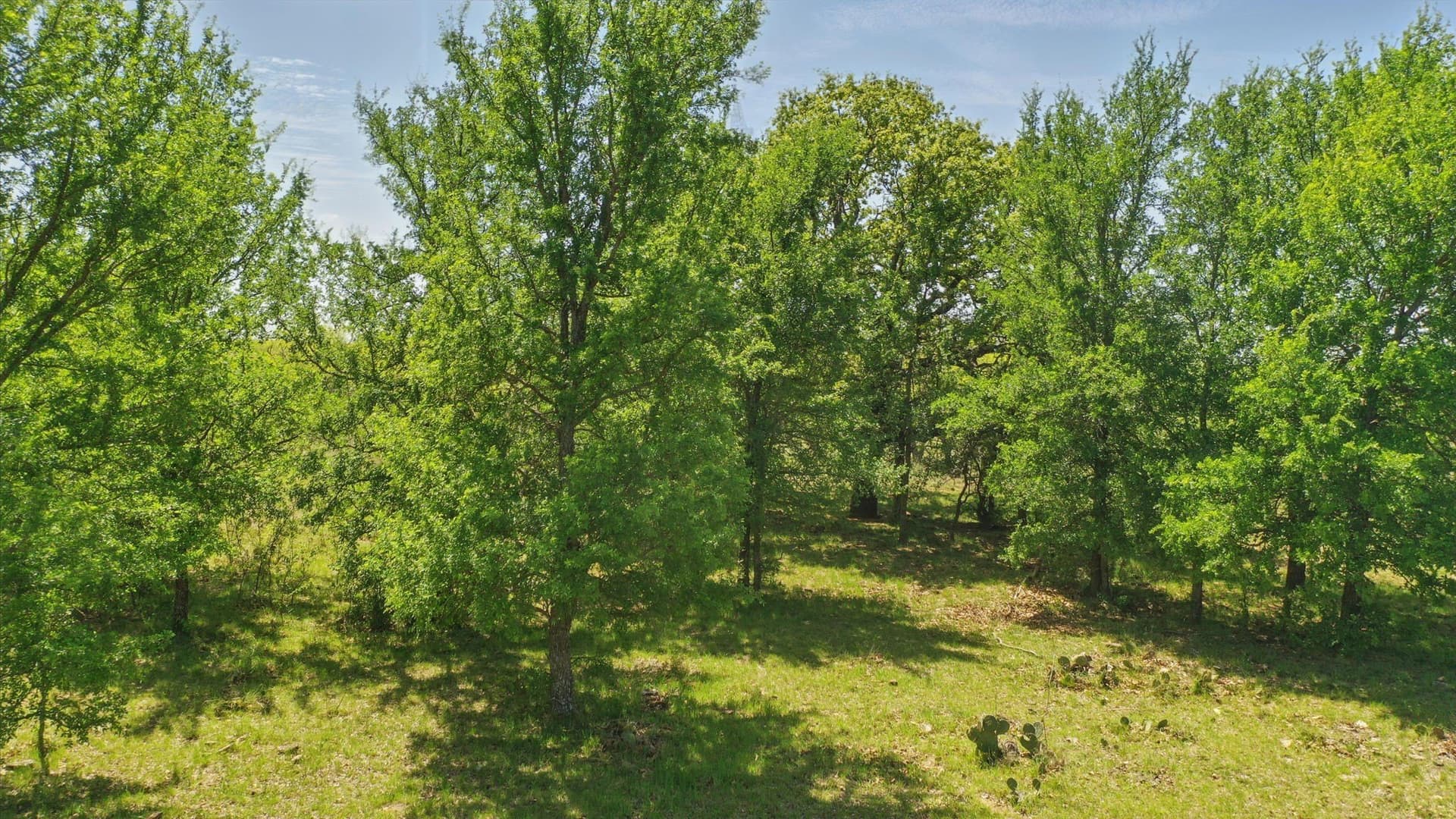 44.53 acres in Comanche County - photo 14