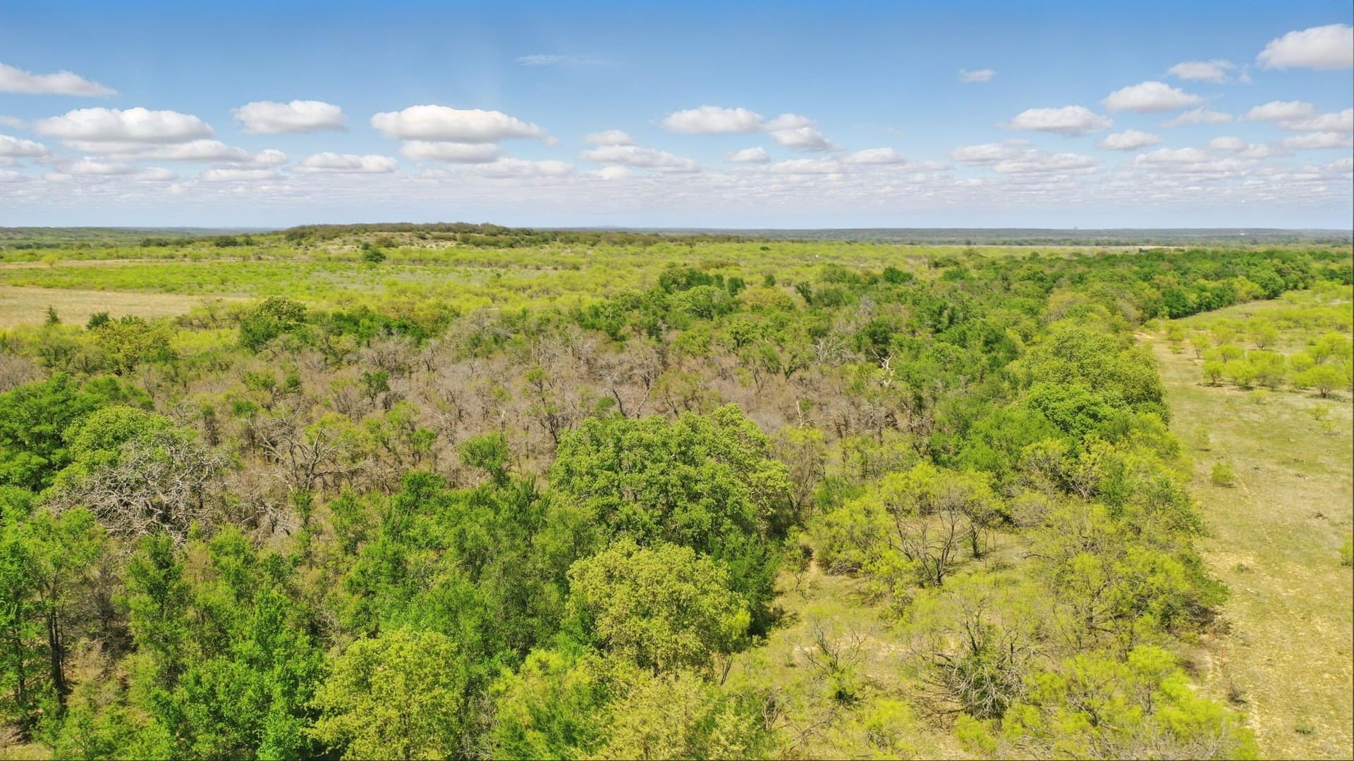 44.53 acres in Comanche County gallery image 3