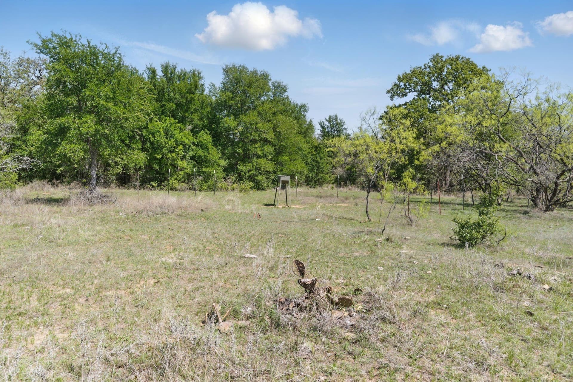 44.53 acres in Comanche County - photo 8