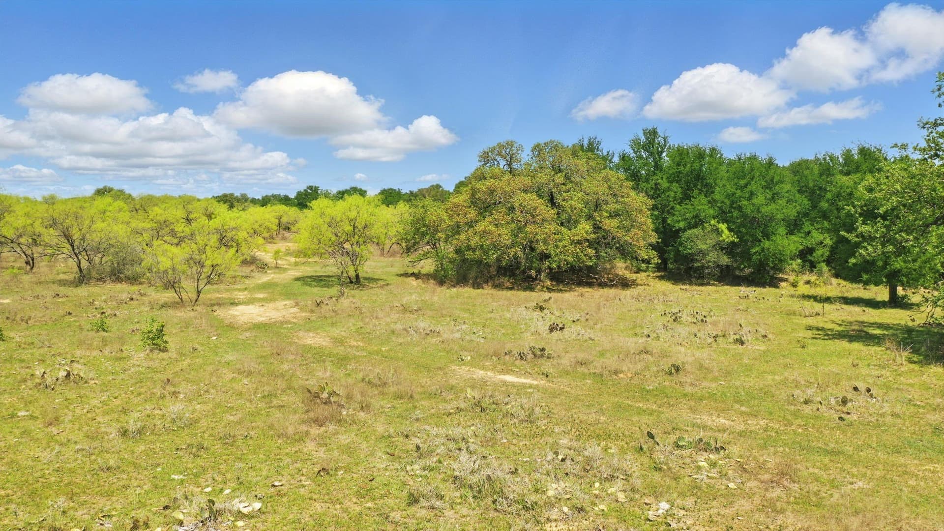 44.53 acres in Comanche County featured view