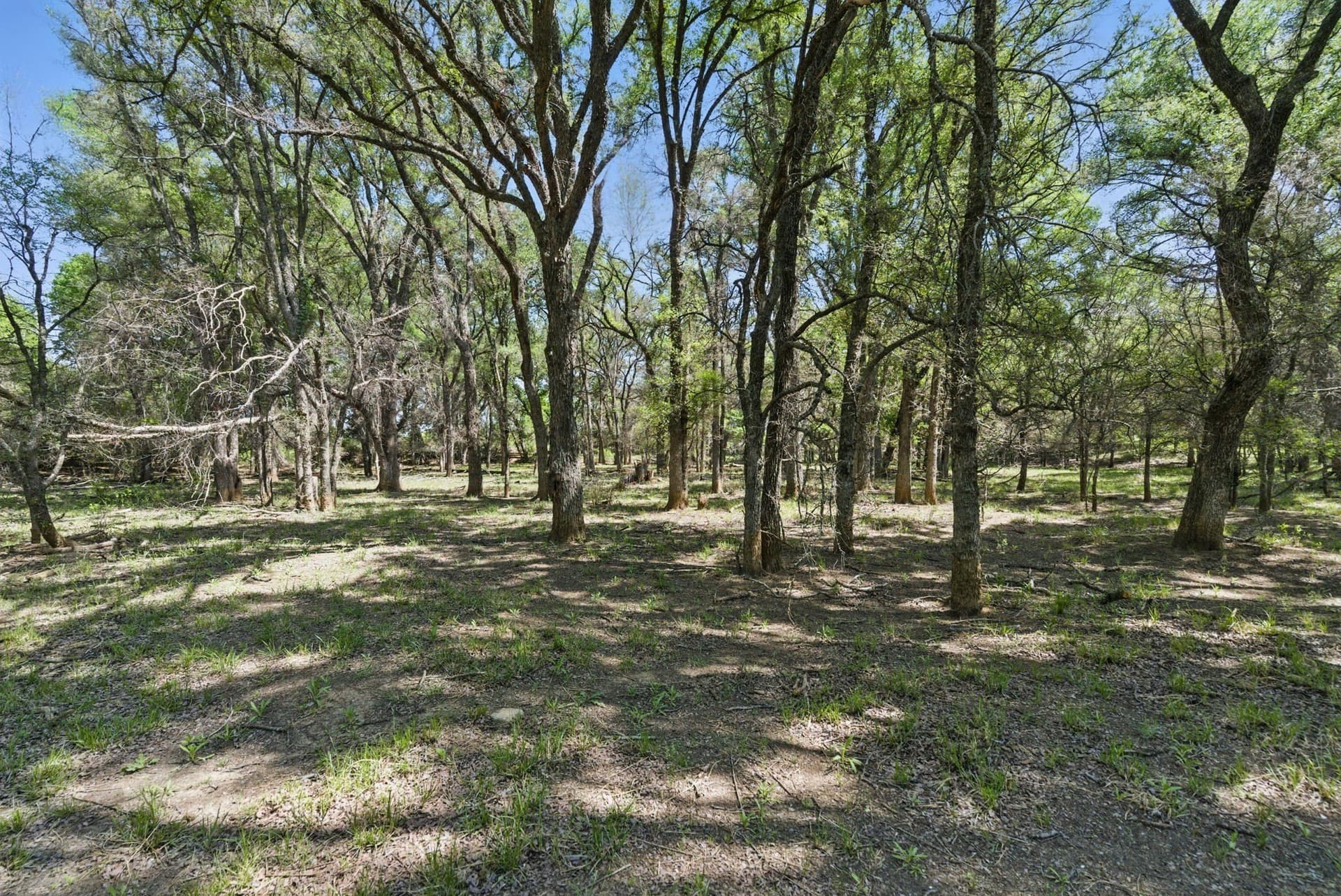 44.53 acres in Comanche County gallery image 4