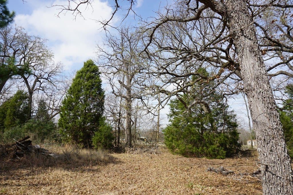 0.17 acres in HENDERSON County featured view