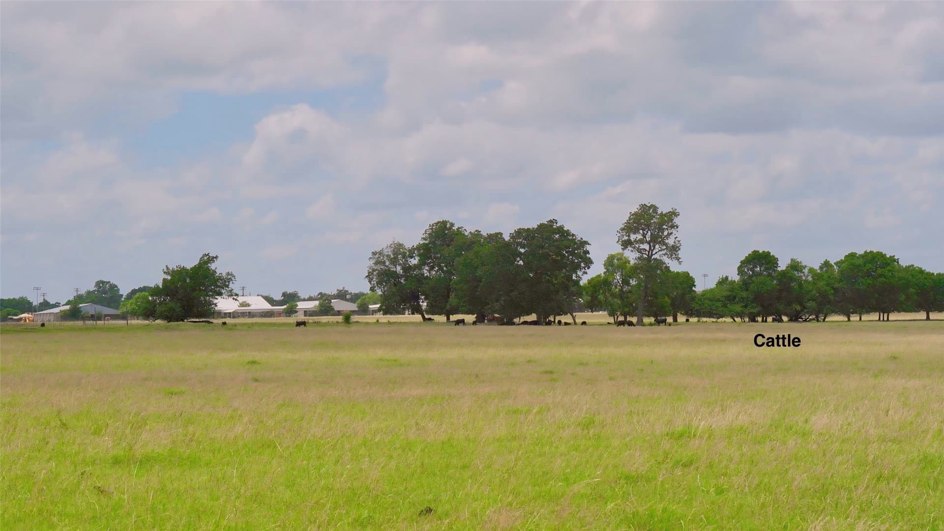 11.1 acres in Fannin County - photo 11