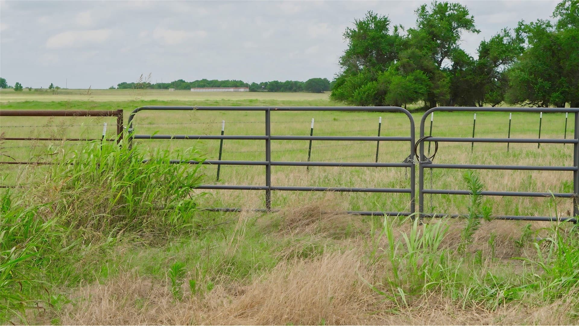 11.1 acres in Fannin County - photo 9