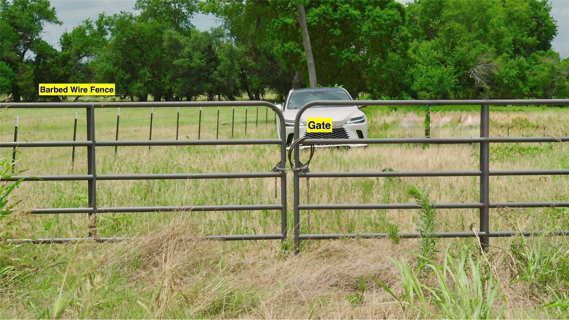 11.1 acres in Fannin County - photo 10