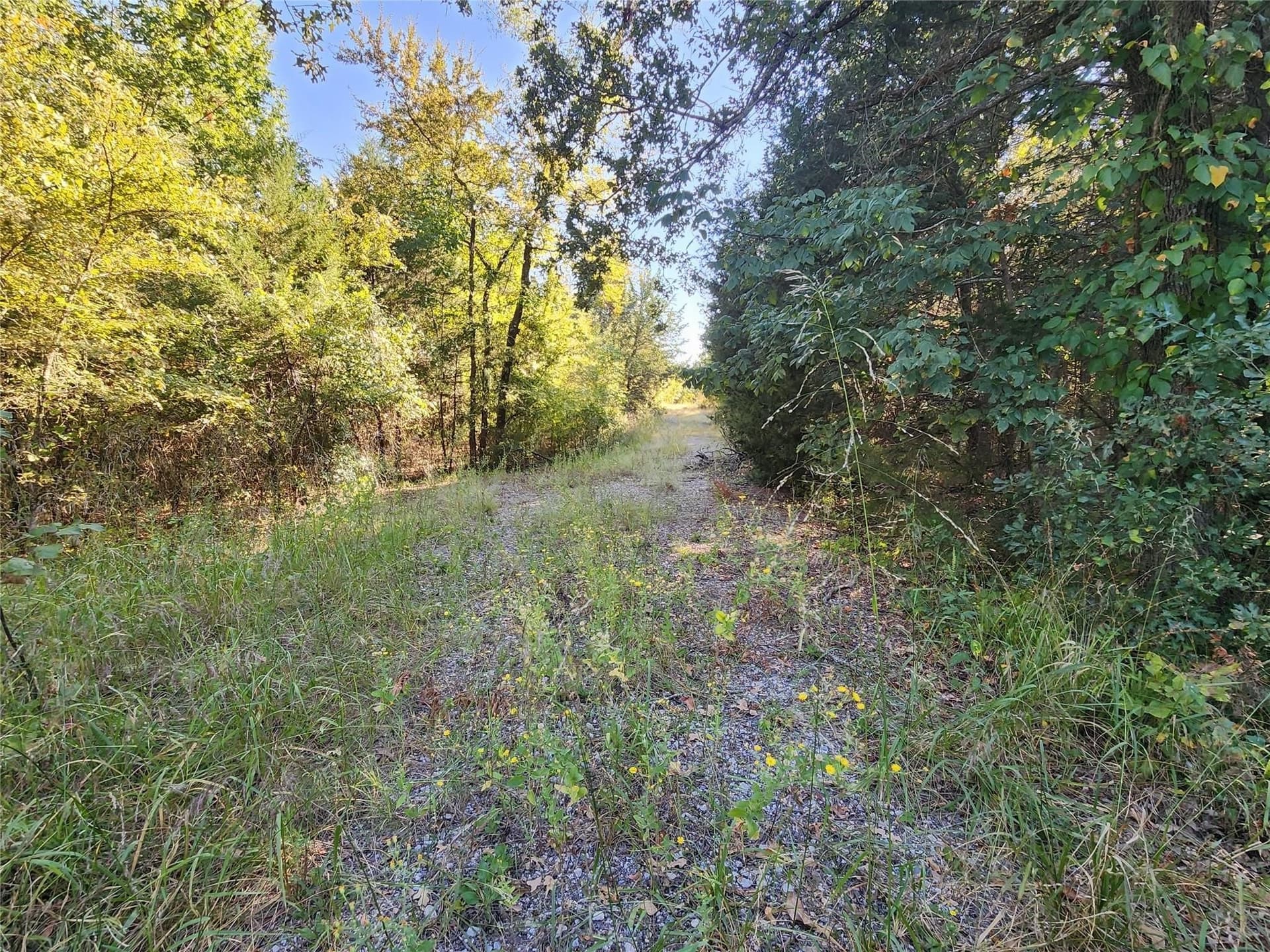 27 acres in Hunt County - photo 16