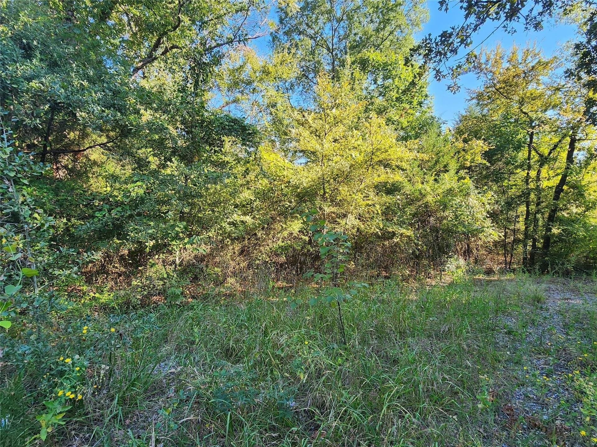 27 acres in Hunt County - photo 15