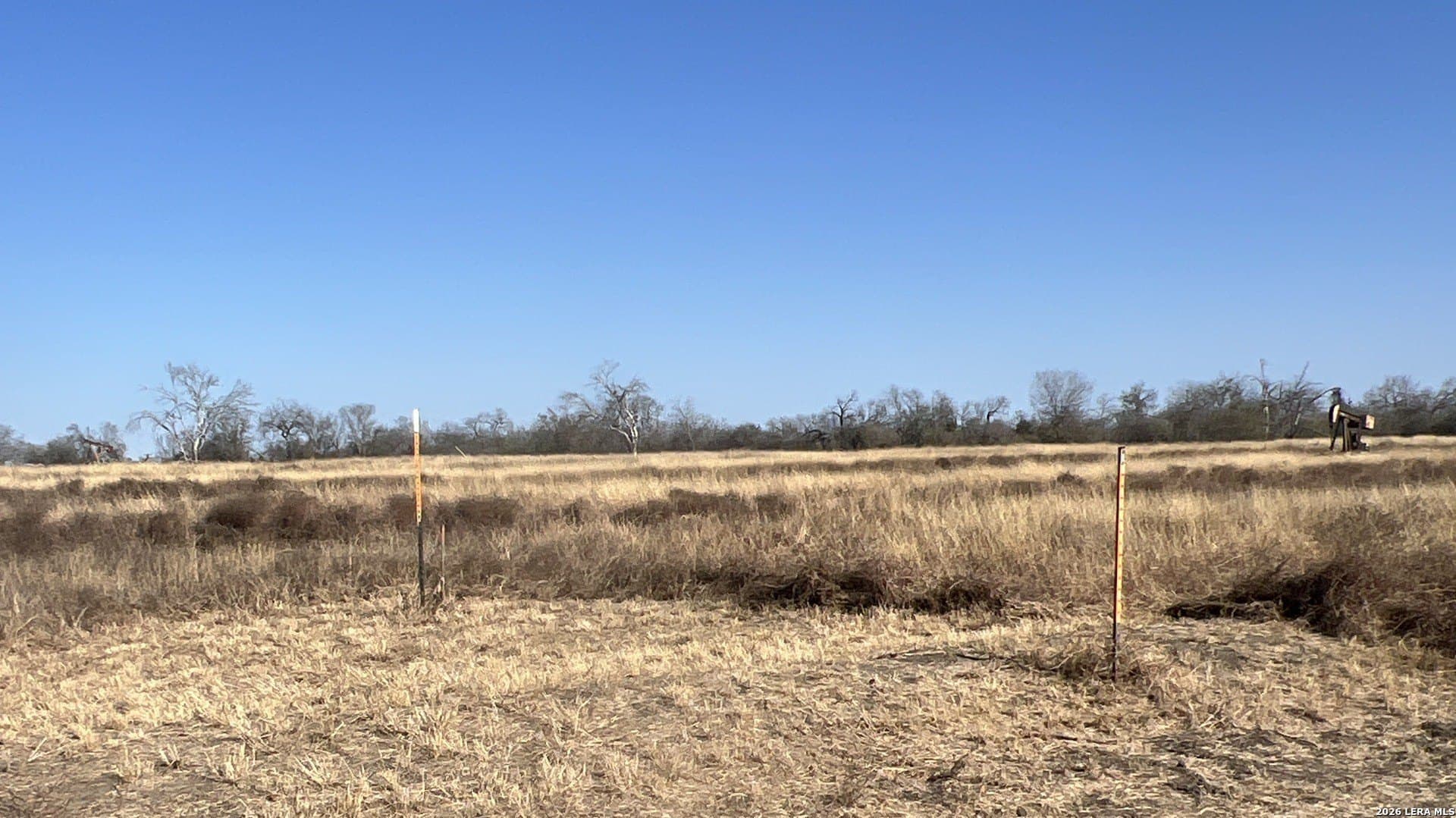 5 acres in Bexar County gallery image 4