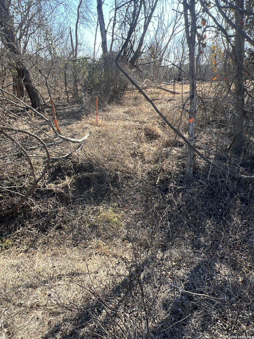 5 acres in Bexar County gallery image 2