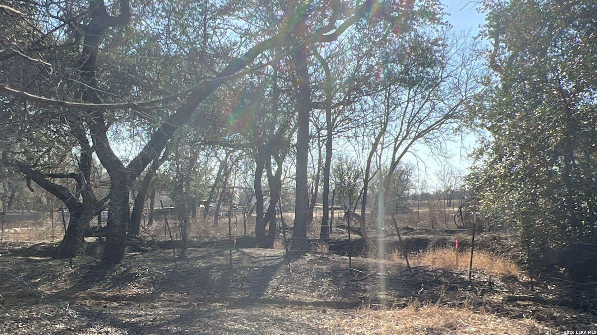 5 acres in Bexar County gallery image 3