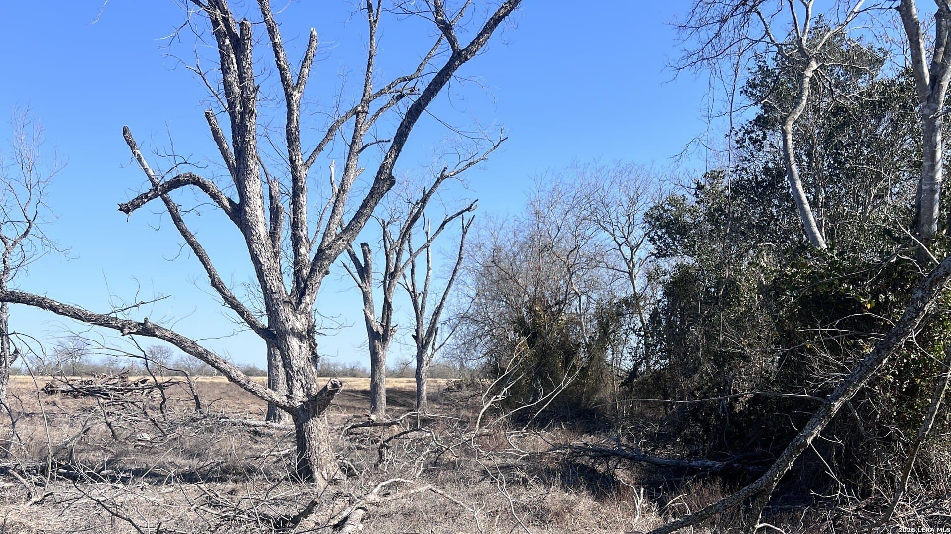 5 acres in Bexar County - photo 7