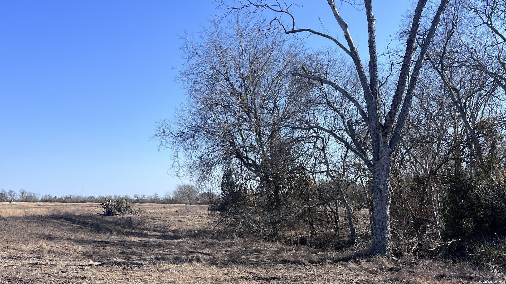 5 acres in Bexar County featured view