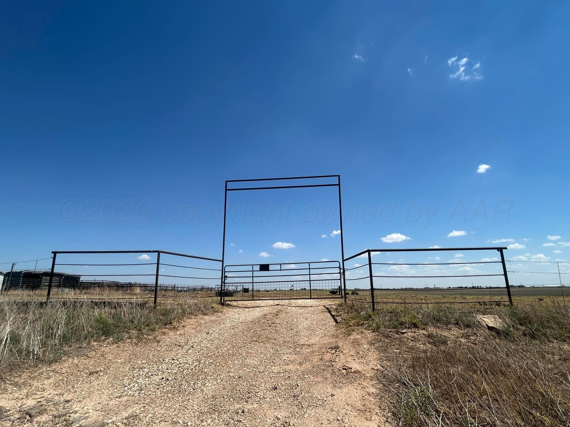 80 acres in Randall County