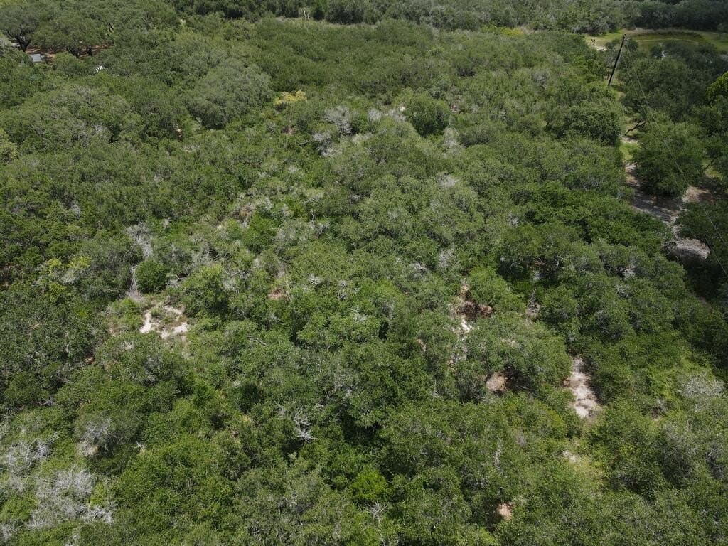 2.12 acres in Texas County - photo 7
