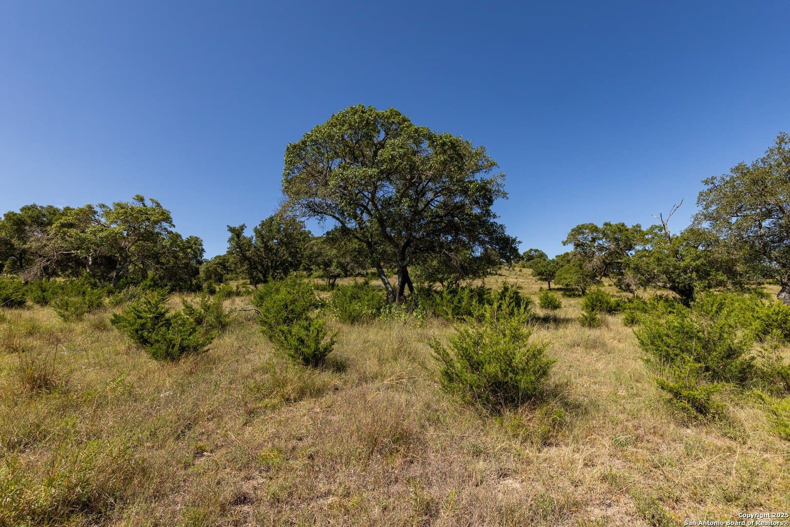5 acres in Bandera County - photo 42
