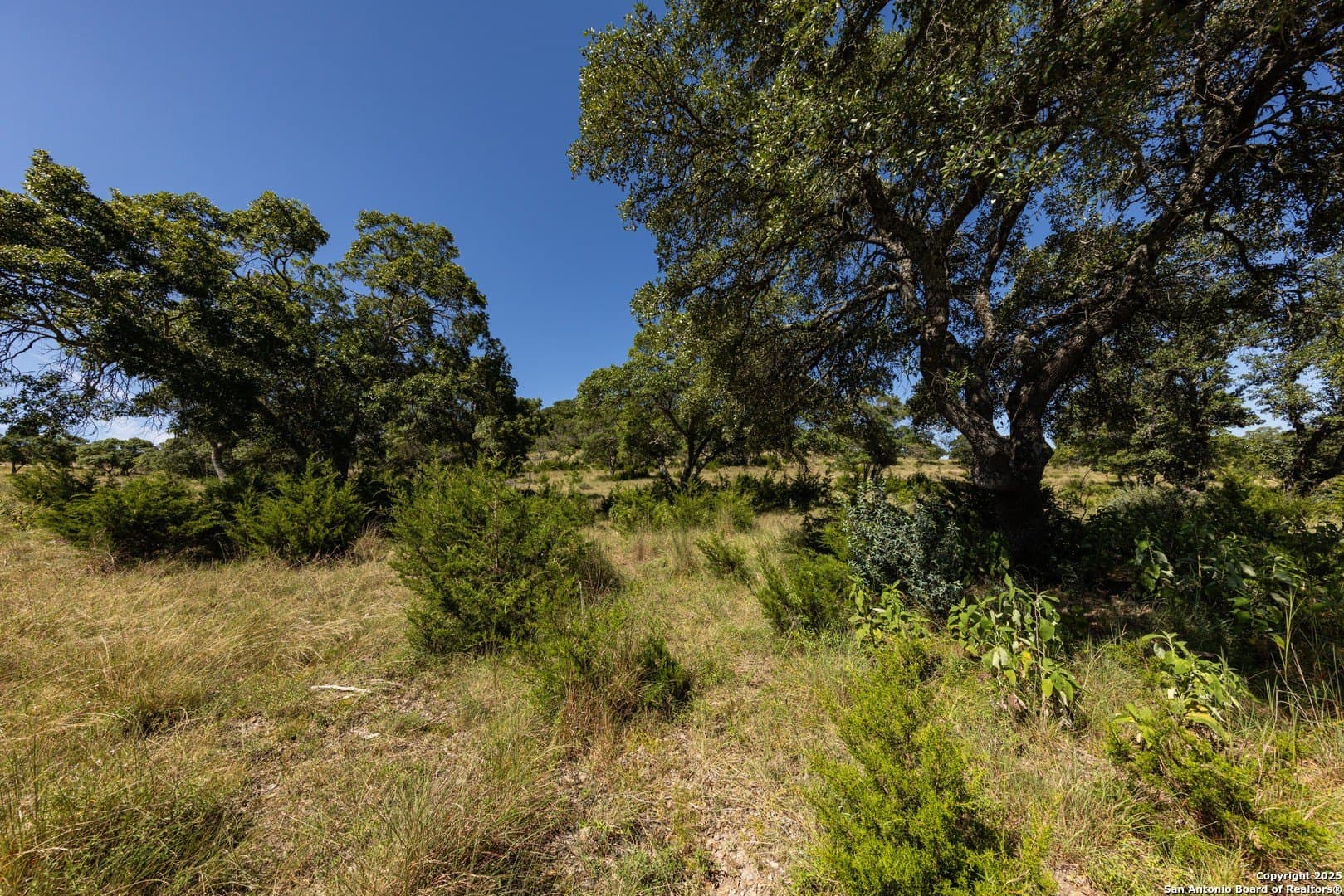5 acres in Bandera County - photo 45