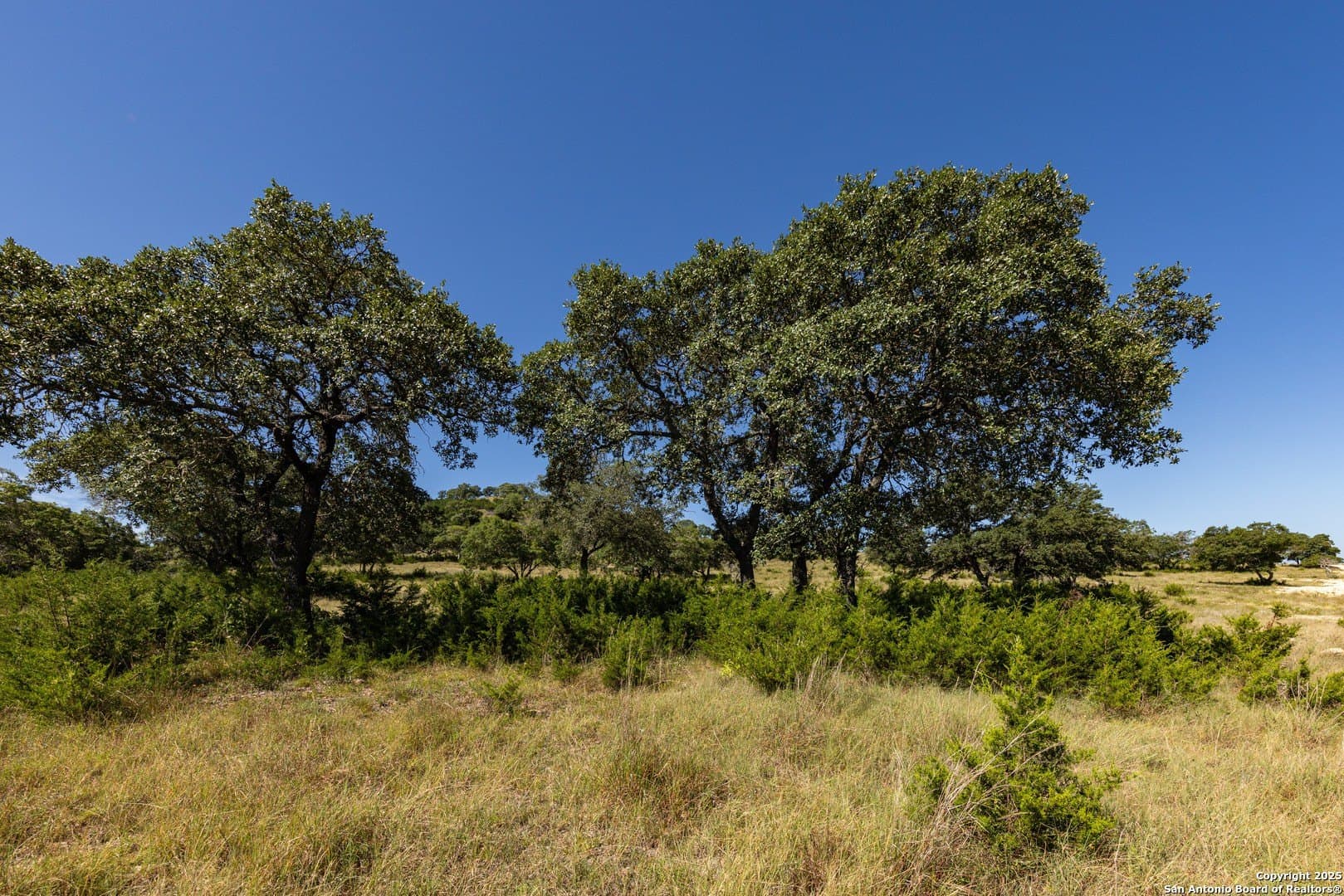 5 acres in Bandera County - photo 13