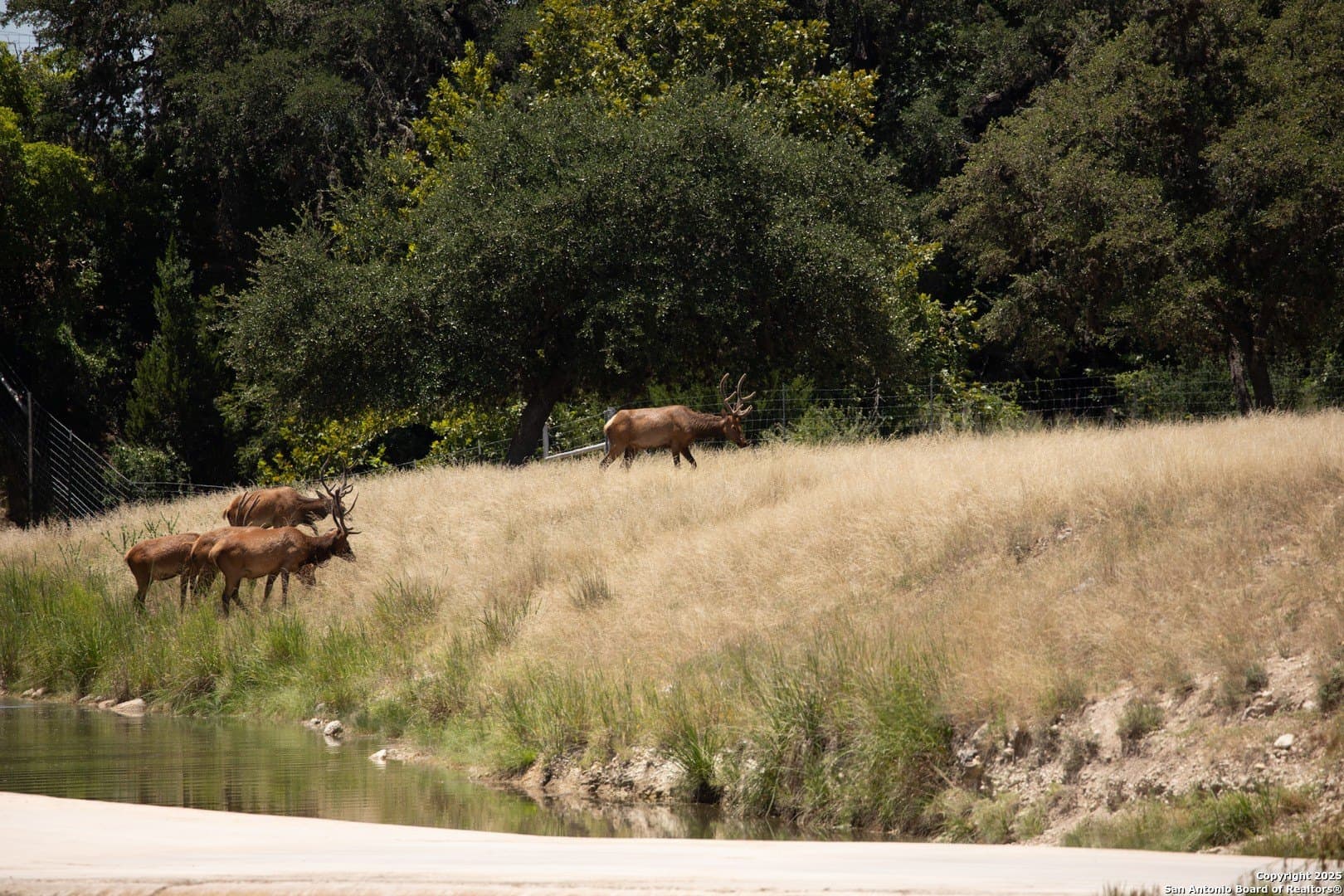 5 acres in Bandera County - photo 35