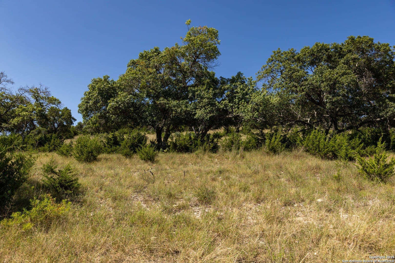 5 acres in Bandera County - photo 8