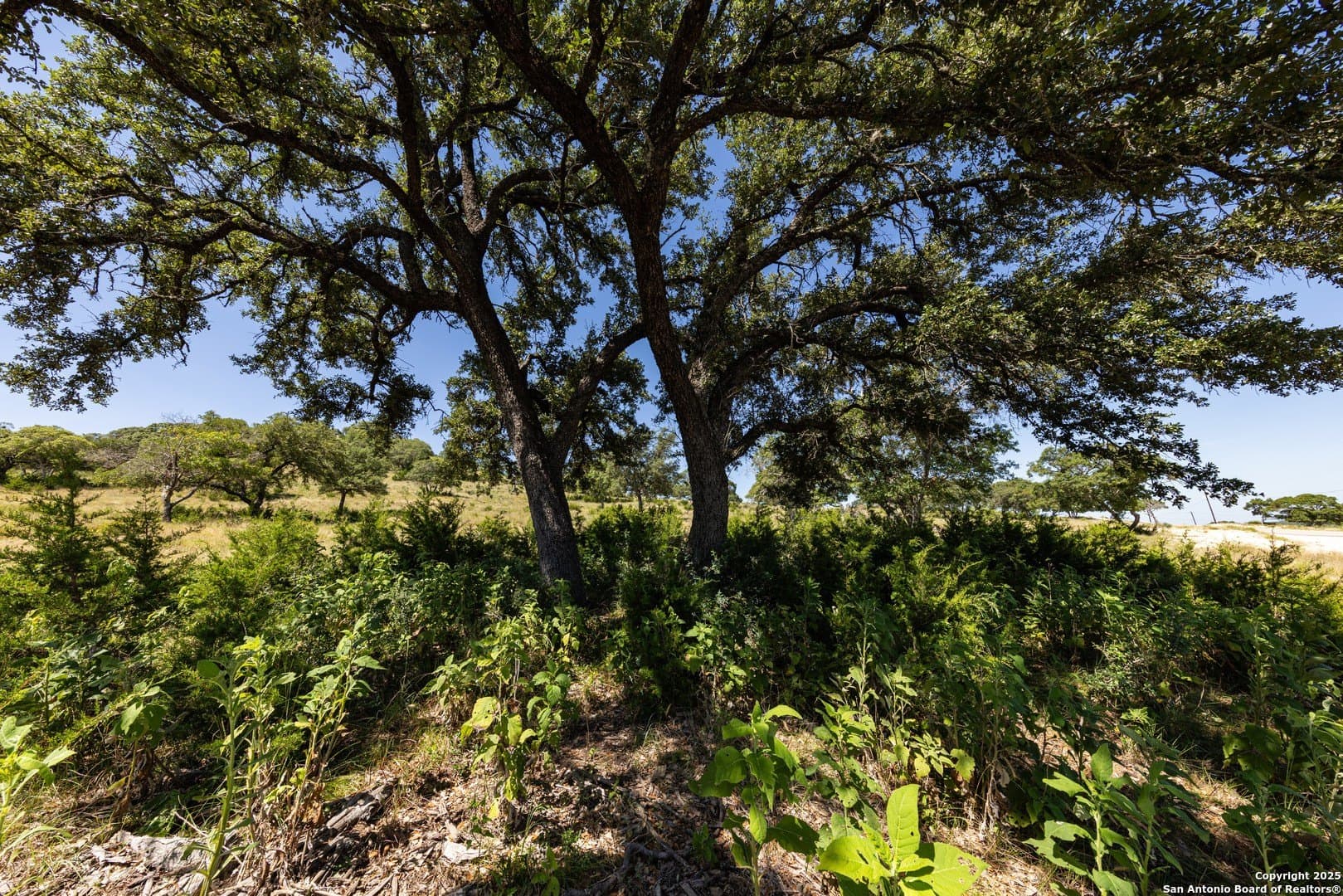 5 acres in Bandera County - photo 58