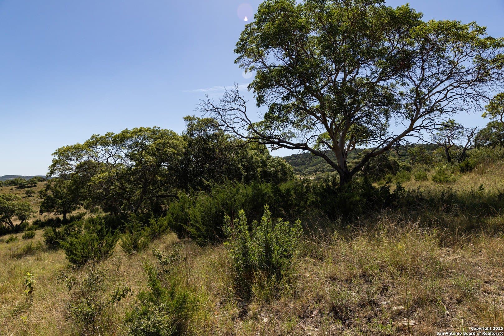 5 acres in Bandera County - photo 47