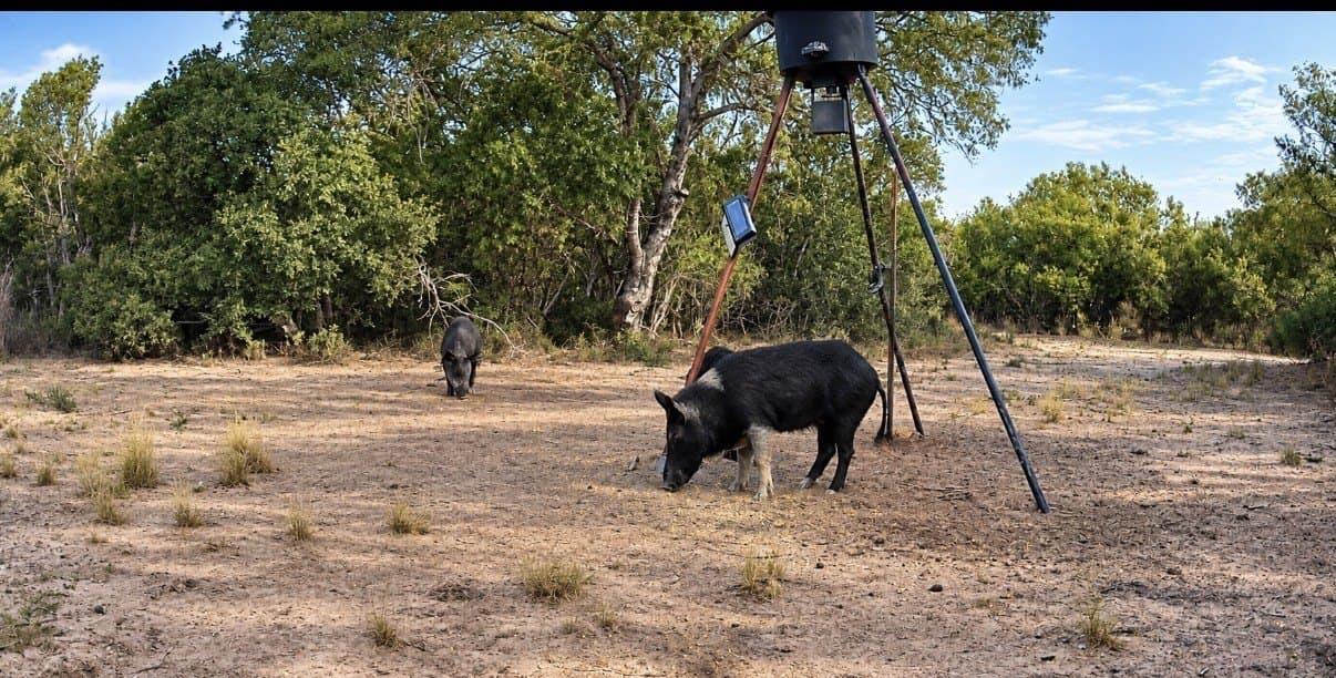 24 acres in Duval County - photo 4