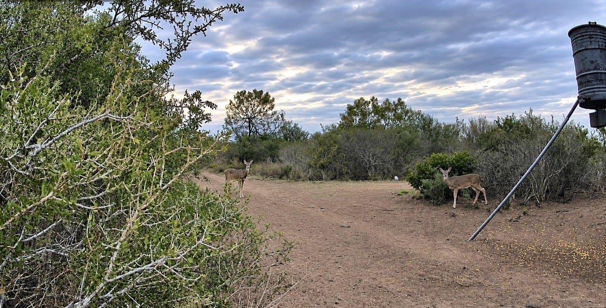 24 acres in Duval County - photo 2