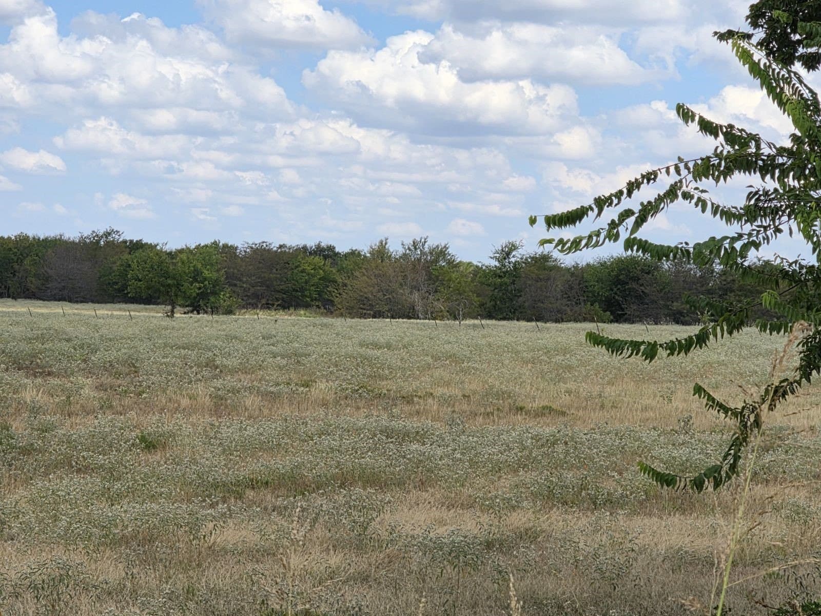 143.3 acres in Hunt County - photo 7