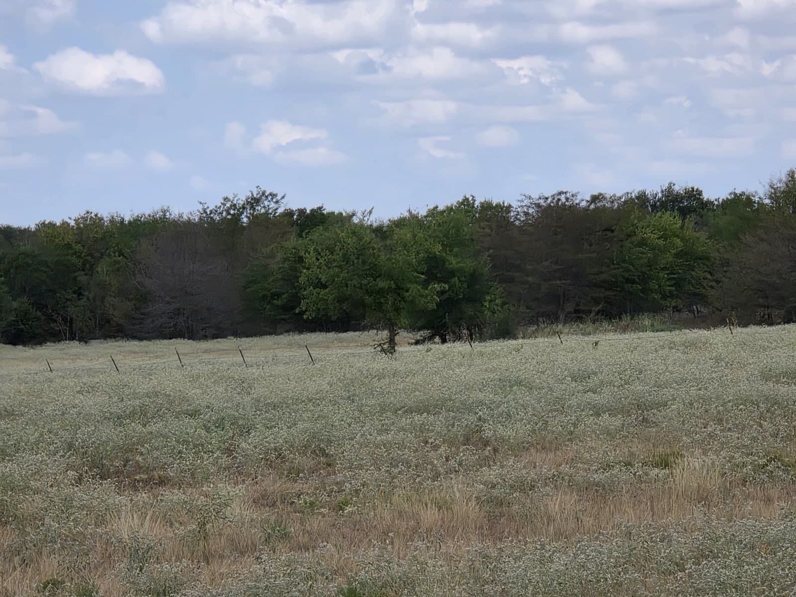 143.3 acres in Hunt County - photo 5