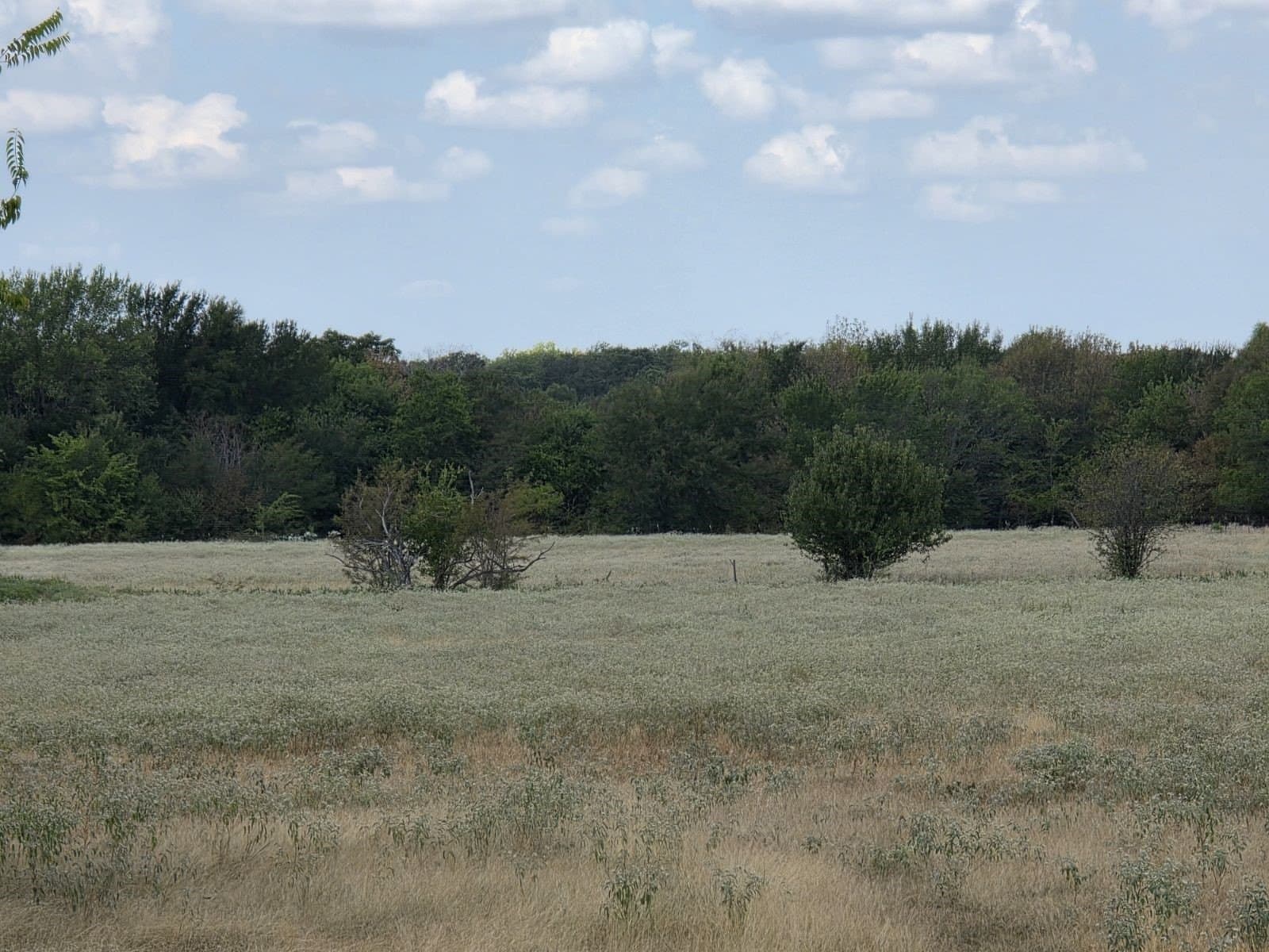 143.3 acres in Hunt County - photo 6