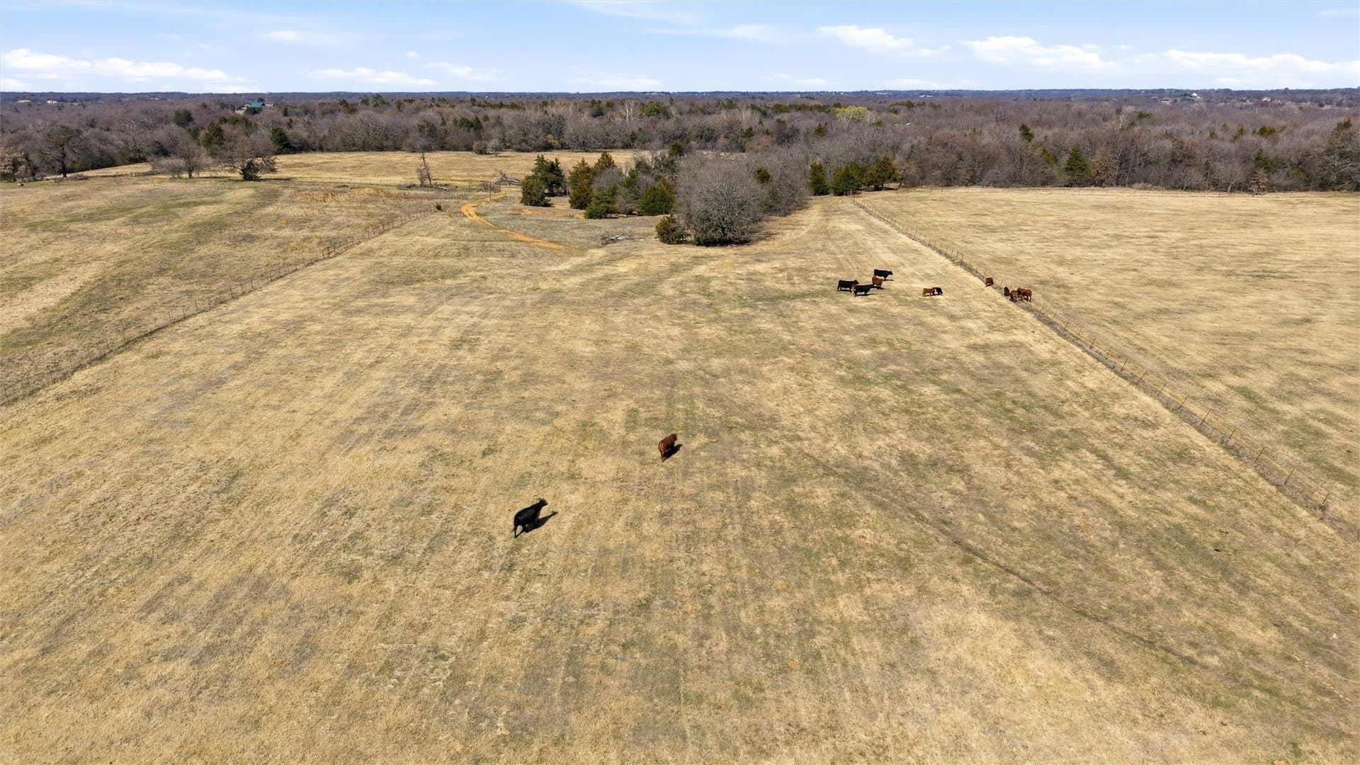 10 acres in Grayson County - photo 36