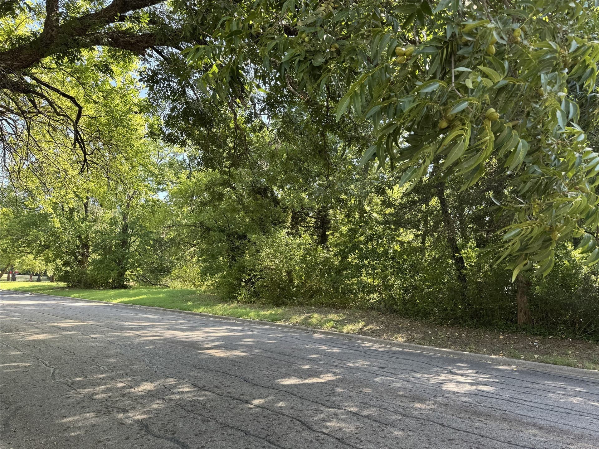 2.05 acres in Grayson County - photo 6